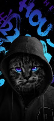 Katzen