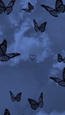 schmetterlinge hintergrundbilder