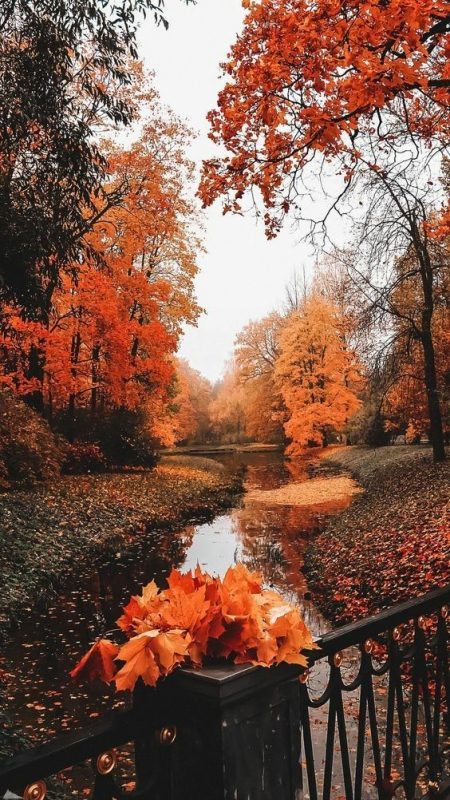 herbst hintergrundbilder