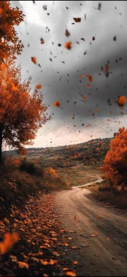 herbst hintergrundbilder