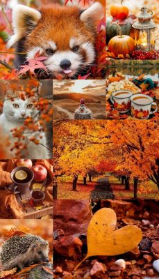 herbst hintergrundbilder