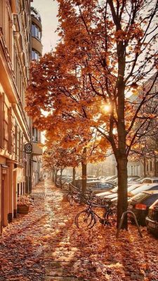 herbst hintergrundbilder