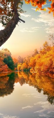 herbst hintergrundbilder