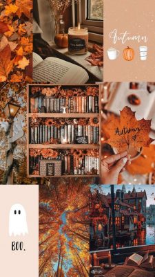 herbst hintergrundbilder