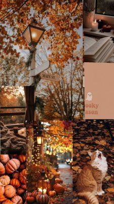 herbst hintergrundbilder
