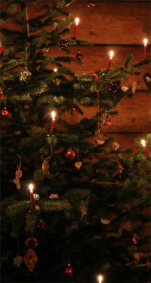 hintergrundbild weihnachtsbaum