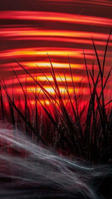hintergrundbilder Roter
