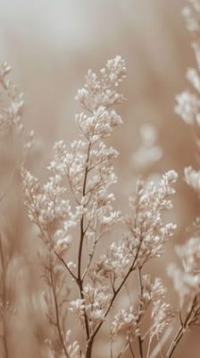 hintergrundbilder beige