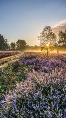 Frühling