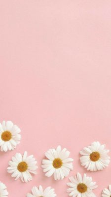 hintergrundbilder rosa