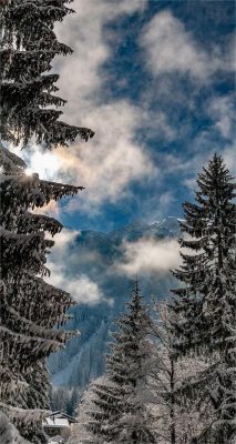 hintergrundbilder weihnachten schnee