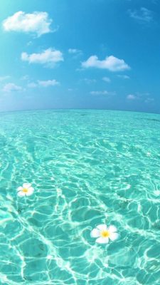 sommer hintergrundbilder