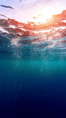 sommer hintergrundbilder