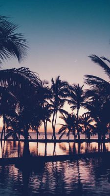 sommer hintergrundbilder
