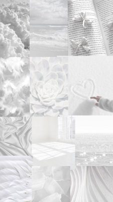 weiß hintergrundbilder