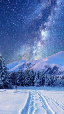 Winter