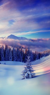 winter hintergrundbilder