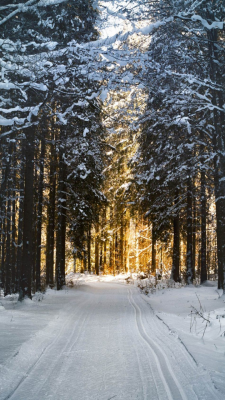 winter hintergrundbilder
