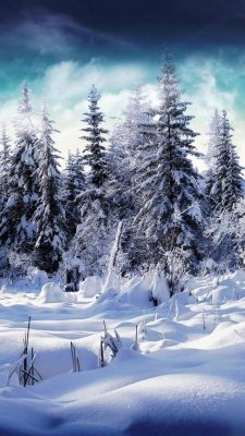 winter hintergrundbilder