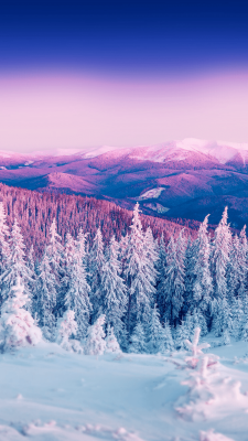 winter hintergrundbilder