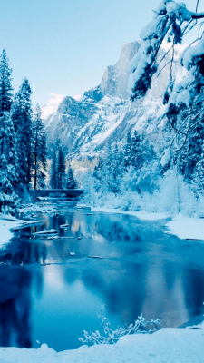 winter hintergrundbilder