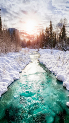 winter hintergrundbilder